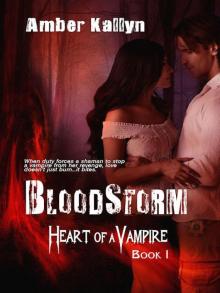 Bloodstorm (Heart of a Vampire) Read online