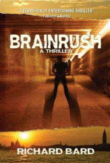 BRAINRUSH, a Thriller