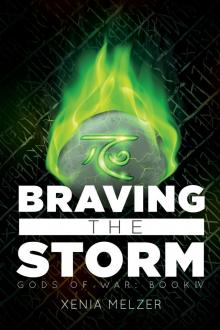 Braving the Storm Read online