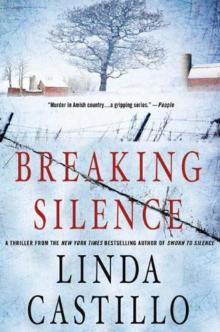 Breaking Silence kb-3 Read online
