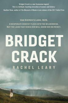 Bridget Crack Read online