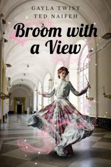 Broom with a View Read online