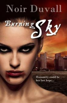 Burning Sky (Burning Sky Series) Read online