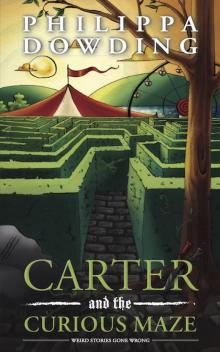 Carter and the Curious Maze Read online