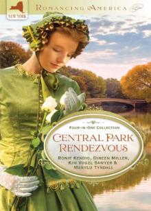 Central Park Rendezvous Read online