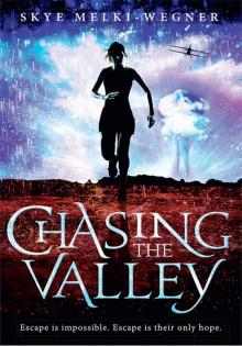 Chasing the Valley Read online
