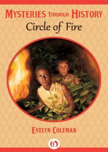 Circle of Fire (Mysteries through History)