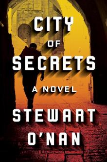 City of Secrets Read online