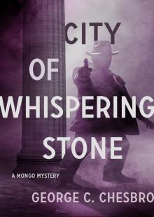 City of Whispering Stone Read online