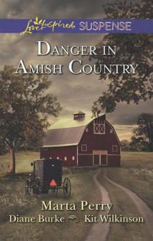 Danger in Amish Country: Fall from GraceDangerous HomecomingReturn to Willow Trace (Love Inspired Suspense) Read online