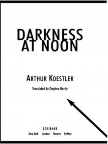 Darkness at Noon Read online
