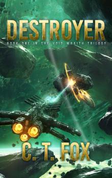 Destroyer (The Void Wraith Trilogy Book 1) Read online