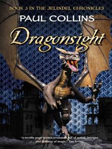 Dragonsight Read online