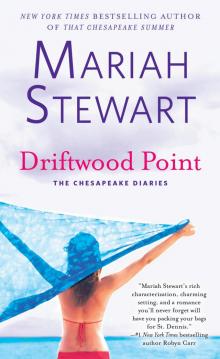 Driftwood Point Read online