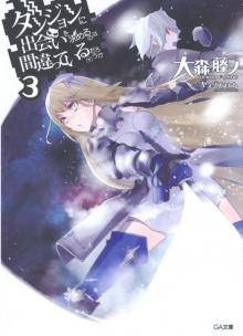 Dungeon ni Deai wo Motomeru no wa Machigatteiru Darou ka - Volume 03 Read online
