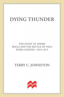 Dying Thunder Read online