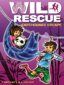 Earthquake Escape Read online