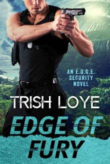 Edge of Fury (Edge Security Series Book 7) Read online