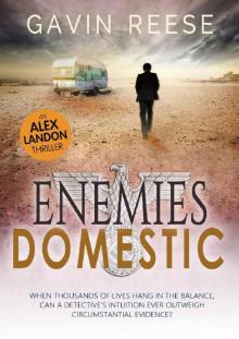 Enemies Domestic (An Alex Landon Thriller Book 1) Read online