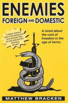 Enemies Foreign And Domestic Read online