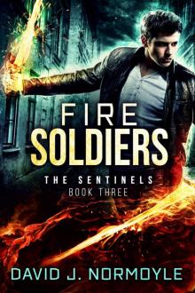 Fire Soldiers (The Sentinels Book 3) Read online