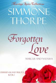 Forgotten Love (Derrien Island Trilogy) Read online