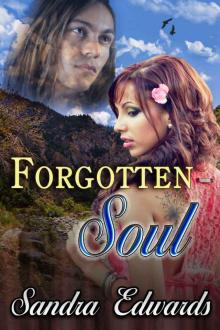 Forgotten Soul (Soul Searchers Series: Book 1) Read online
