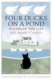 Four Ducks on a Pond Read online