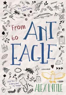 From Ant to Eagle Read online