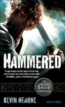 Hammered tidc-3 Read online
