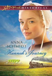 Hannah's Journey Read online