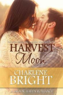 Harvest Moon (Brook Haven Romance Book 1) Read online