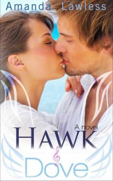 Hawk and Dove (Rock Star Romance Novel) Read online