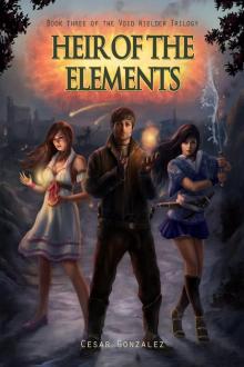 Heir of the Elements Read online