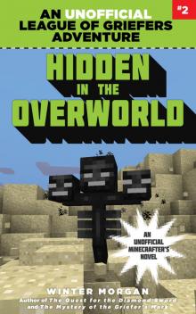 Hidden in the Overworld Read online
