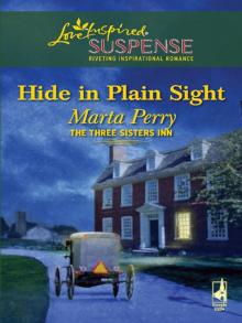 Hide in Plain Sight Read online