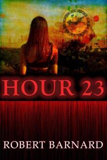 Hour 23 Read online