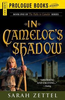 In Camelot’s Shadow: Book One of The Paths to Camelot Series (Prologue Fantasy) Read online