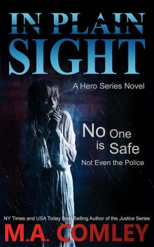 In Plain Sight: a hero series novel Read online