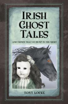 Irish Ghost Tales Read online