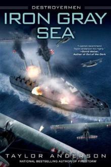 Iron Gray Sea: Destroyermen Read online