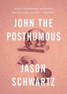 John the Posthumous Read online