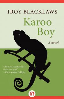 Karoo Boy Read online
