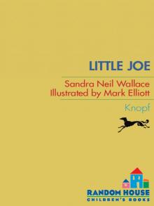 Little Joe Read online