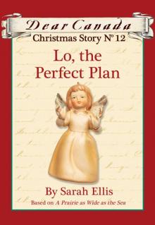 Lo, the Perfect Plan Read online
