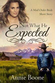 Mail Order Bride: Not What He Expected (Mail Order Brides Book 1) Read online