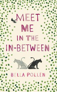 Meet Me in the In-Between Read online