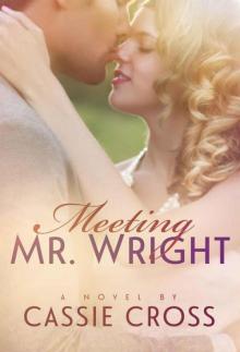 Meeting Mr. Wright Read online