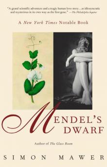 Mendel's Dwarf Read online