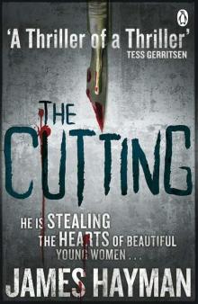 Mike McCabe 01 - The Cutting